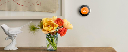 Smart Homes